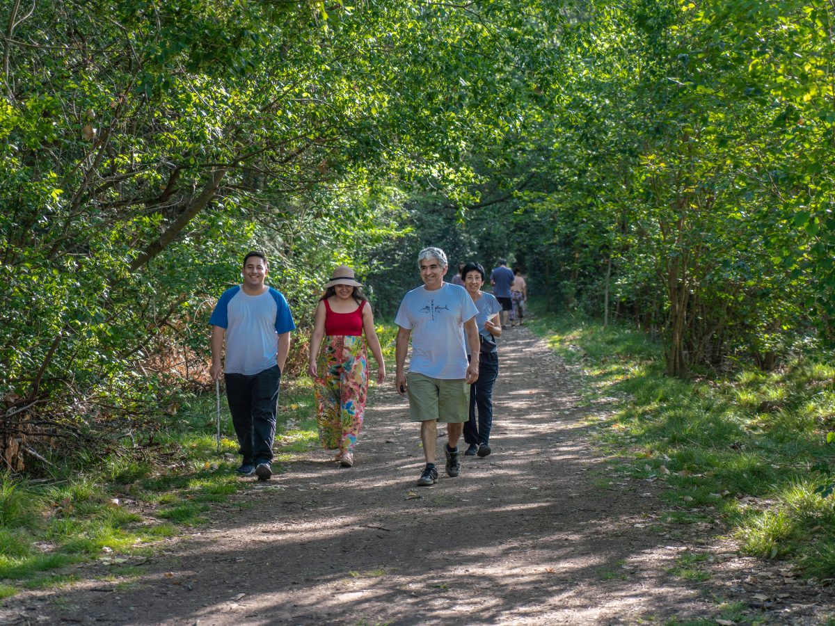 PROPUESTAS CULTURALES Y TURISMO DE CERCANÍA