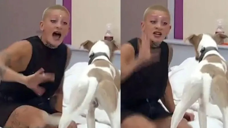 Activistas por los derechos de los animales exigen la liberación de Arturo de la casa de Gran&nbsp;Hermano