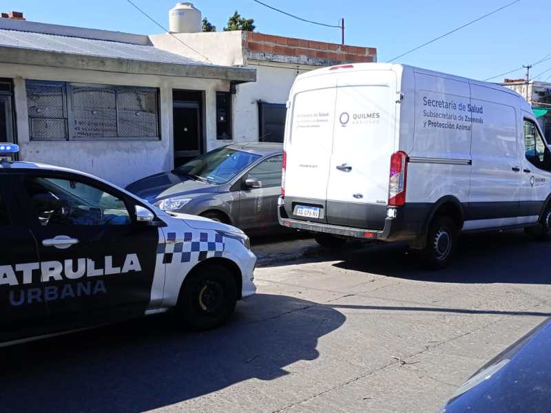 Lograron rescatar a más de 40 perros maltratados de un criadero clandestino en&nbsp;Quilmes