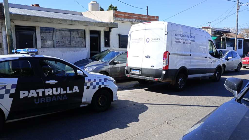 Lograron rescatar a más de 40 perros maltratados de un criadero clandestino en&nbsp;Quilmes