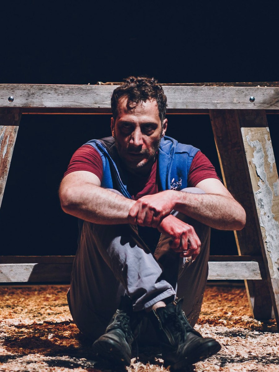 Juan Palomino, Luciano Cáceres, Graciela Borges, Vera Spinetta y mucho más en la cartelera del Teatro&nbsp;Auditorium