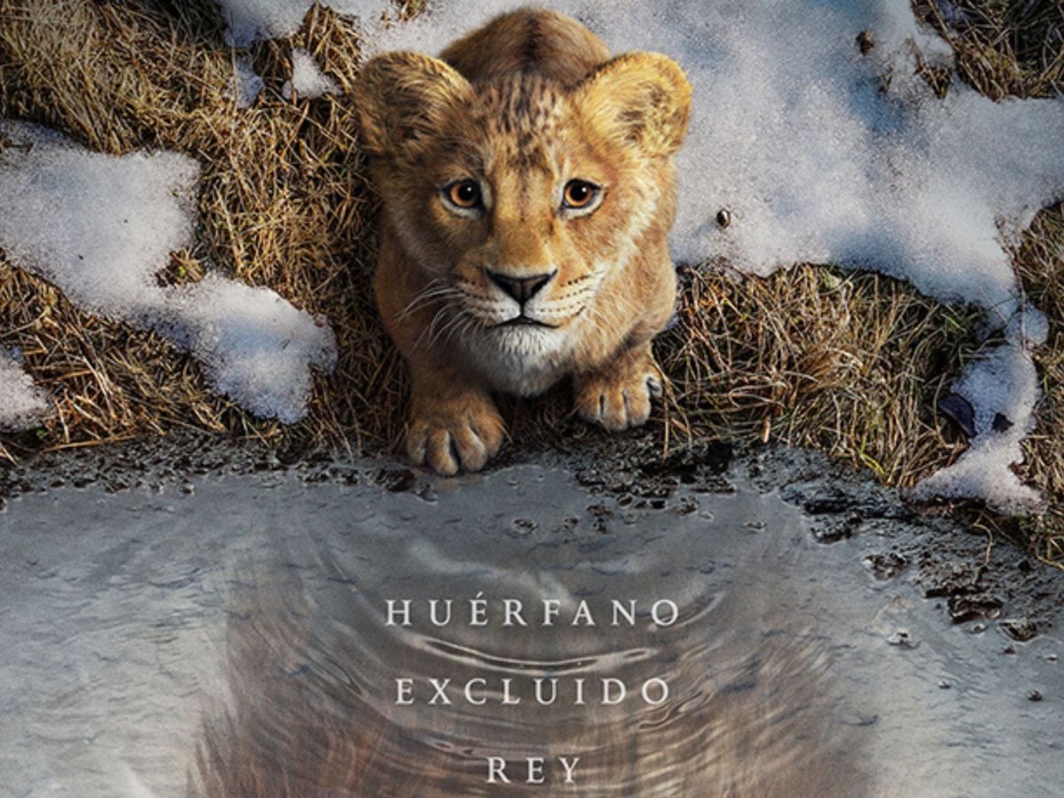 Cine de verano en José C. Paz: proyectan gratis la película&nbsp;«Mufasa»