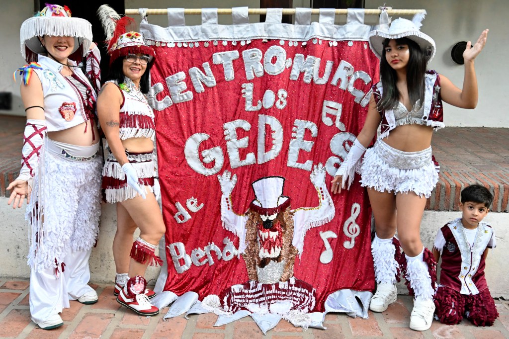 Por cuestiones climáticas, se reprograman los Carnavales 2025 del Municipio de&nbsp;Tigre