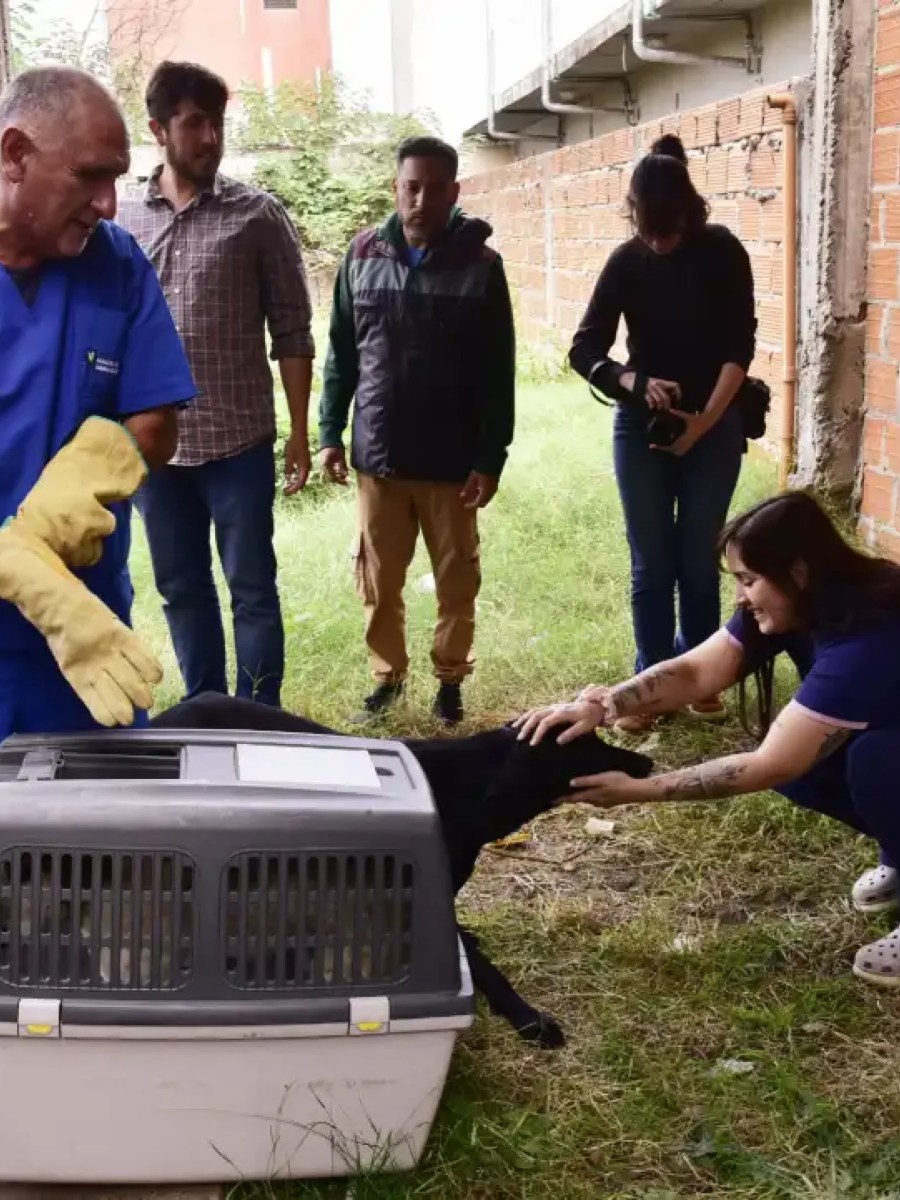 Allanamiento por maltrato animal en la ciudad de Ing. Pablo&nbsp;Nogués